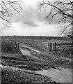 Muddy field entrance north of Dawcombe Wood