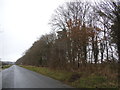 The Street, Croxton