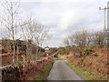 The Dublin-Belfast Railway Line running parallel with Barracric Road