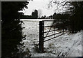 View over a gate, Stockham Lane