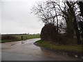 Farm track off Thompson Road, Griston