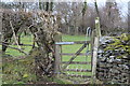 Gates on field footpath to Pen Beili