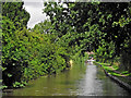 Coventry Canal near Beworth in Warwickshire