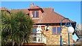 Bear on a balcony