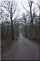 SE3029 : Path through Middleton Wood by DS Pugh