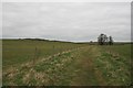 Footpath near Charminster