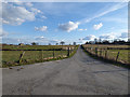 Track to Boyle Hall Farm