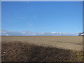 Stony field at Healey Croft Farm