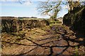 Track and bridleway on Chapman