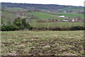 Field beside the A35 near Studhayes Farm