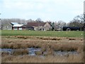 Boggy field, Langthorne