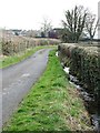 Narrow lane, tiny beck