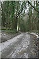 Bridleway near Bradford Down Farm