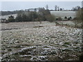 Wintry scene at Sarratt Bottom