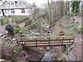 Footbridge across an Unnamed Stream