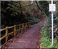 Permissive Cycle Track, Tondu