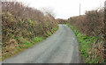 Lane south of Beeny