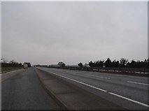 TL9688 : Lay-by on the A11, Larling Heath by David Howard