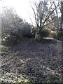 Old ruins of cottage - near St Lawrence Church Marros