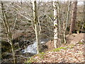 Small waterfall in Fiddler Gill