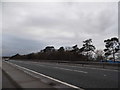 The A11 Red Lodge Bypass