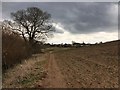 Footpath to Welshampton