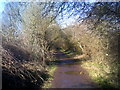 Railway Walk Scene