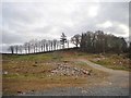 Development site at Templegowran  on the eastern urban fringe of Newry