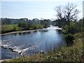 River Goyt from Chadkirk Bridge