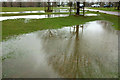 Flooded areas, Dyrham Park