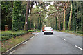 The Avenue, Branksome Park, Poole