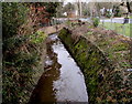 Dowlais Brook below Ton Road, Cwmbran