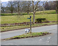 Netherton Road at Old Greenock Road