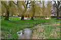Stream on the green at Old Alresford