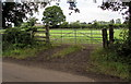 7-bar field gate, Nibley Lane, Iron Acton