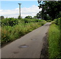 Nibley Lane towards the centre of Iron Acton