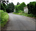 Shades of green in Nibley Lane, Iron Acton