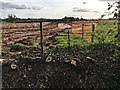 Groundworks at Grove Farm off Harbury Lane, south Leamington