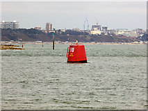 SZ0386 : Buoy 10, Poole Harbour approach by Robin Webster