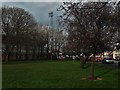 Cherry blossom and the County Ground