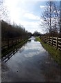 Blue sky and clouds reflected in a flooded track