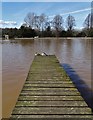 A view of Langold Lake