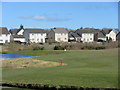 Ballumbie Castle 10th hole, Grissel