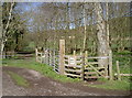 The path off Washing Pound Lane