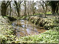 Cart pond on Cadbury Camp Lane West