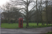 TL5042 : Great Chesterford green by Robert Eva