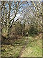 Bridleway to Moelfre