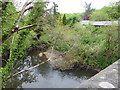 The river Bollin at Mill Lane