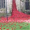 Hereford Cathedral (Weeping Window)