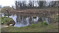 Walkington village pond